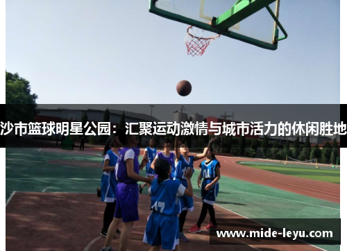 沙市篮球明星公园：汇聚运动激情与城市活力的休闲胜地