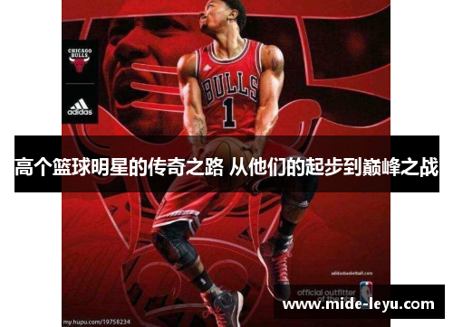 高个篮球明星的传奇之路 从他们的起步到巅峰之战