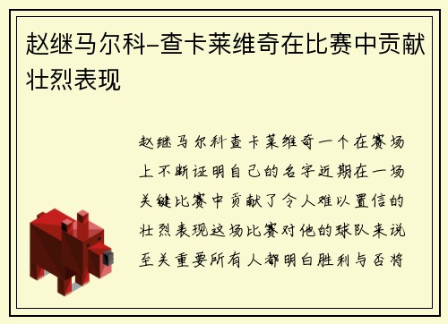 赵继马尔科-查卡莱维奇在比赛中贡献壮烈表现
